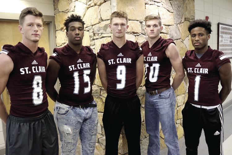 2017 St. Clair AllCounty Football Team named The St. Clair Times