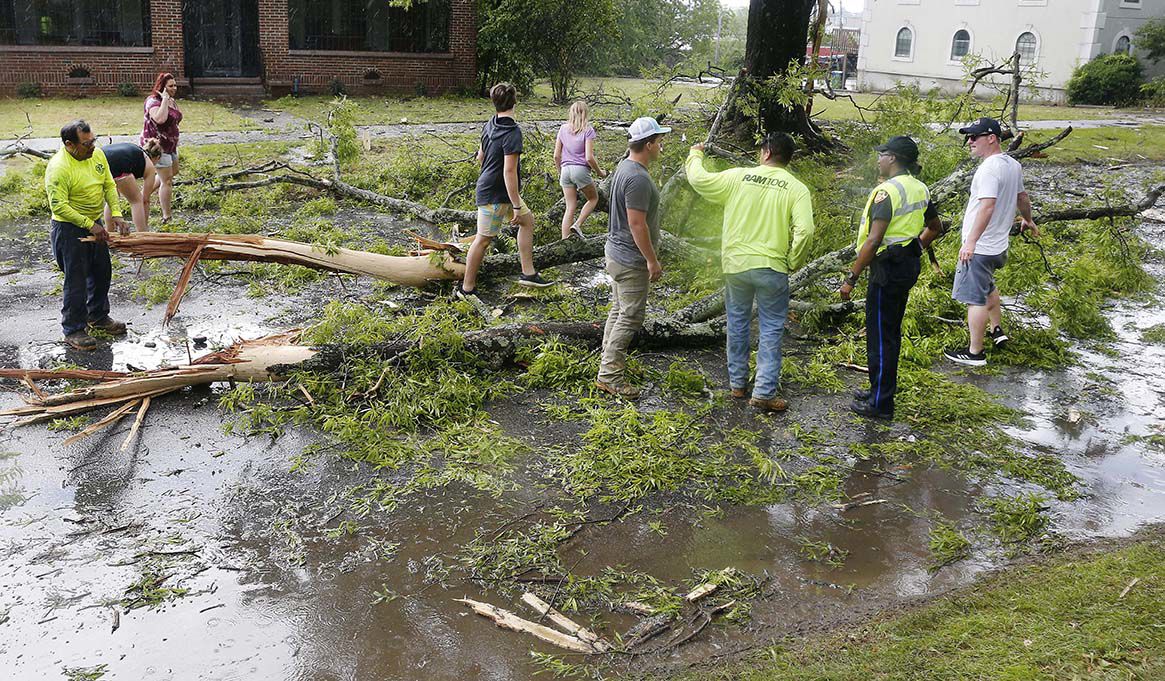 Quintard tree down