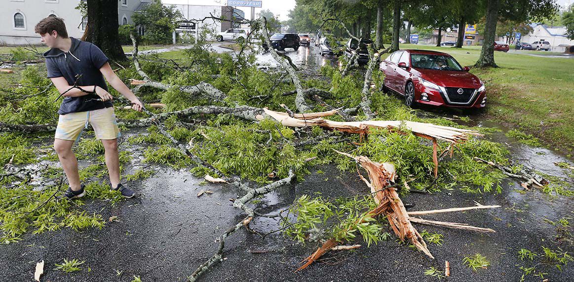 Quintard tree down
