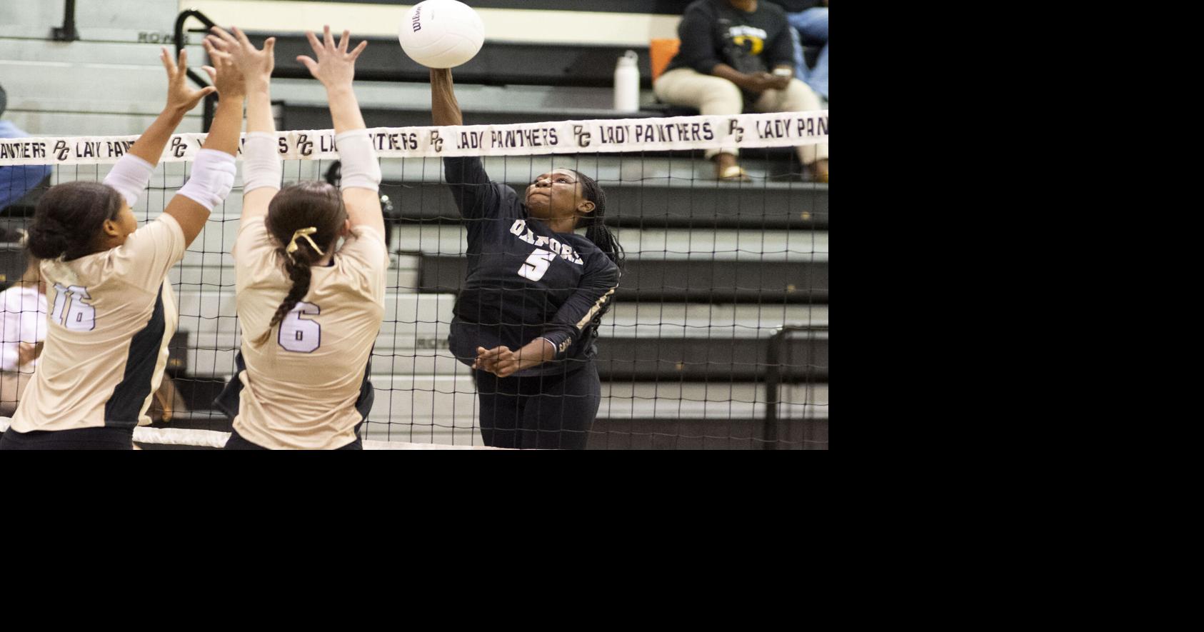 The Anniston Star - Prep volleyball: Yellow Jackets swarm Pell City image