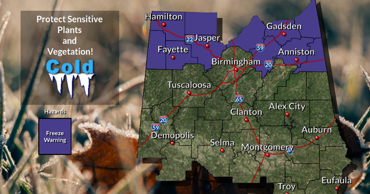 Freeze warning Tuesday morning for parts of northern Alabama | Local ...