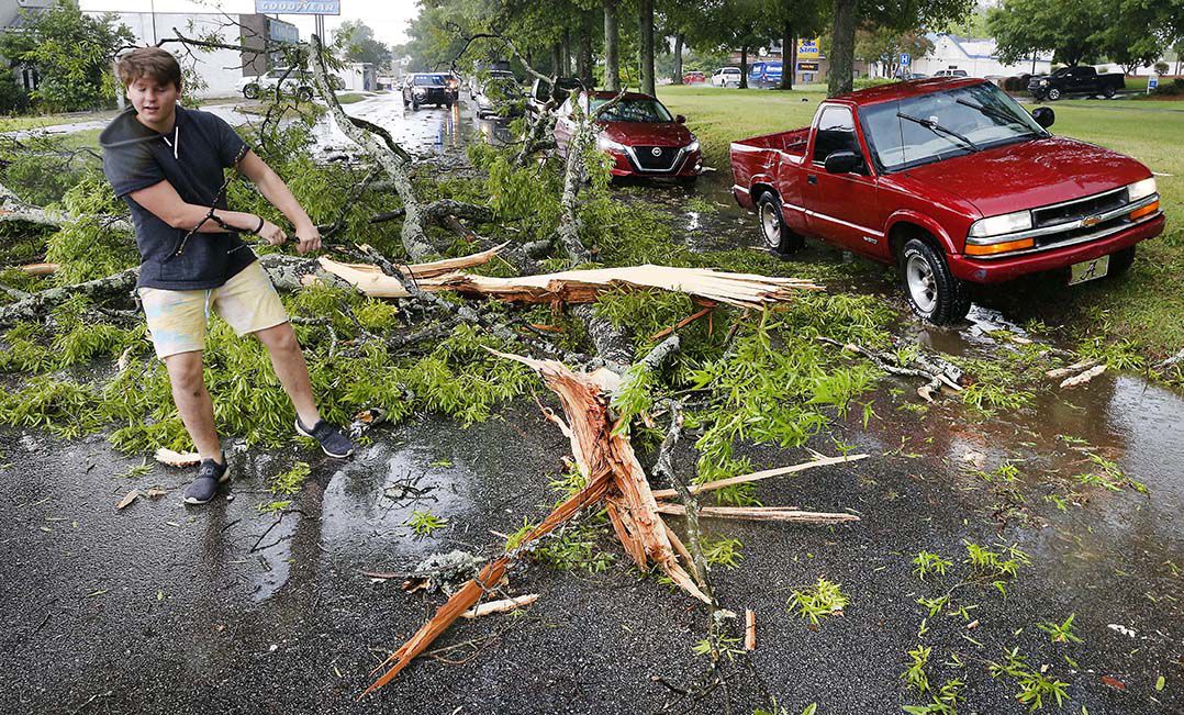 Quintard tree down