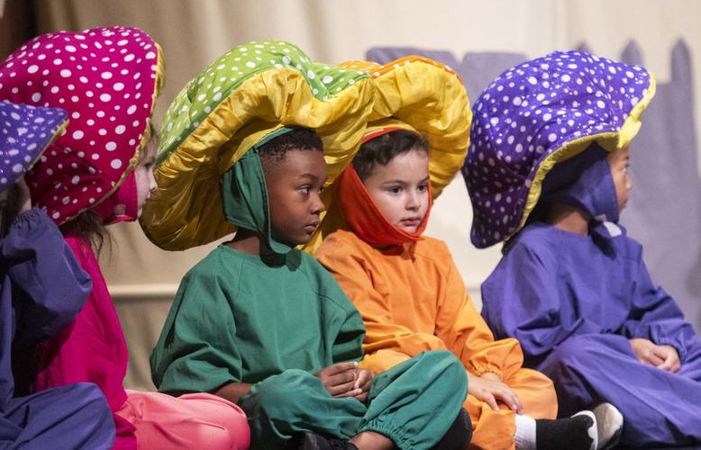 Photos Spotlight Theatre Camp at OPAC Slideshows