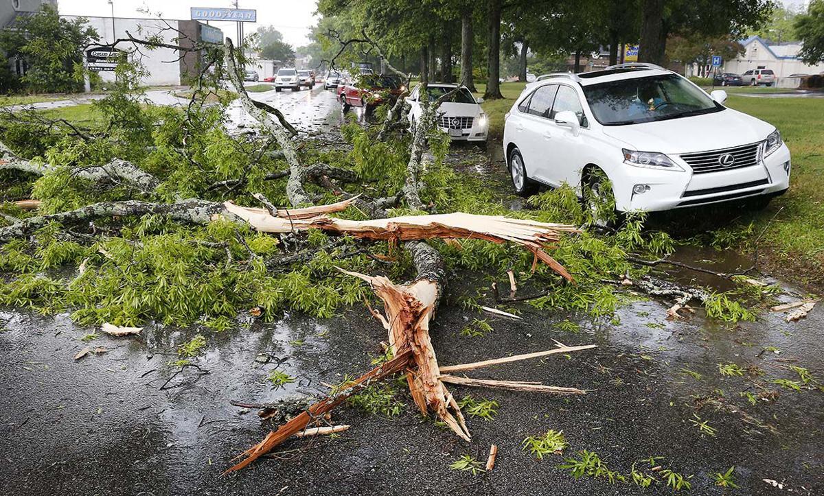 Quintard tree down