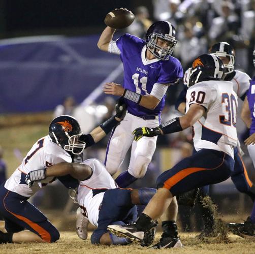 Woodland at Ranburne Slideshows