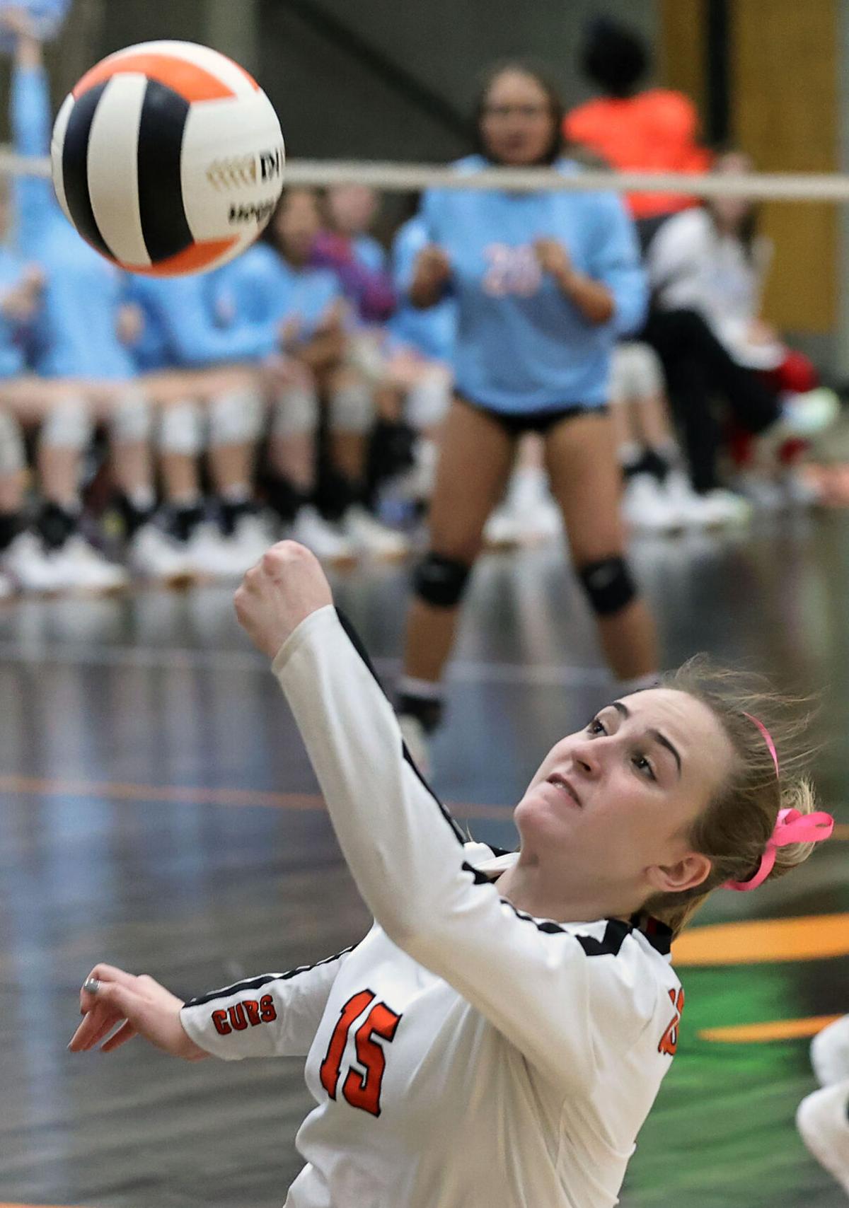 Alexandria PV volleyball