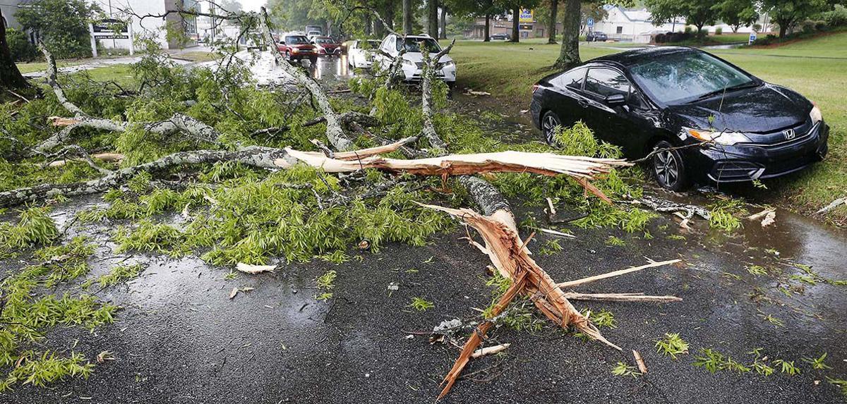 Quintard tree down