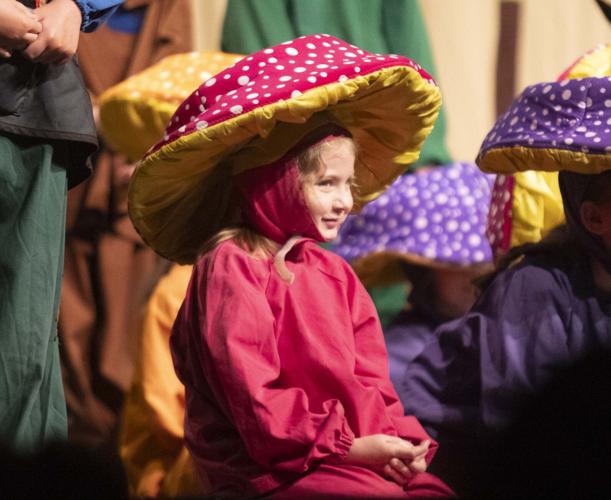 Photos Spotlight Theatre Camp at OPAC Slideshows