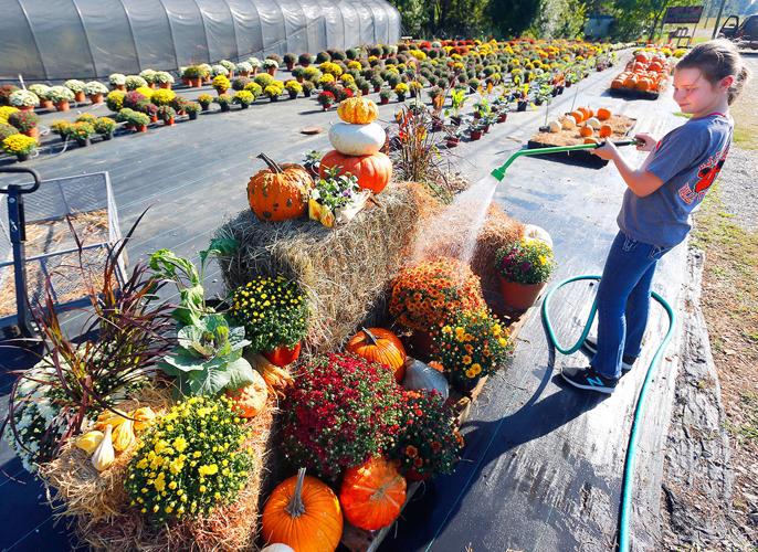 Warm temps to stay through weekend Calhoun County