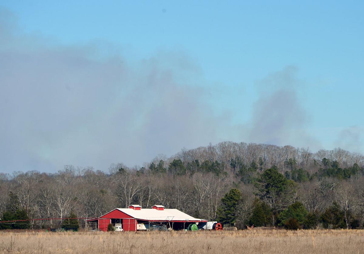 Prescribed Burn