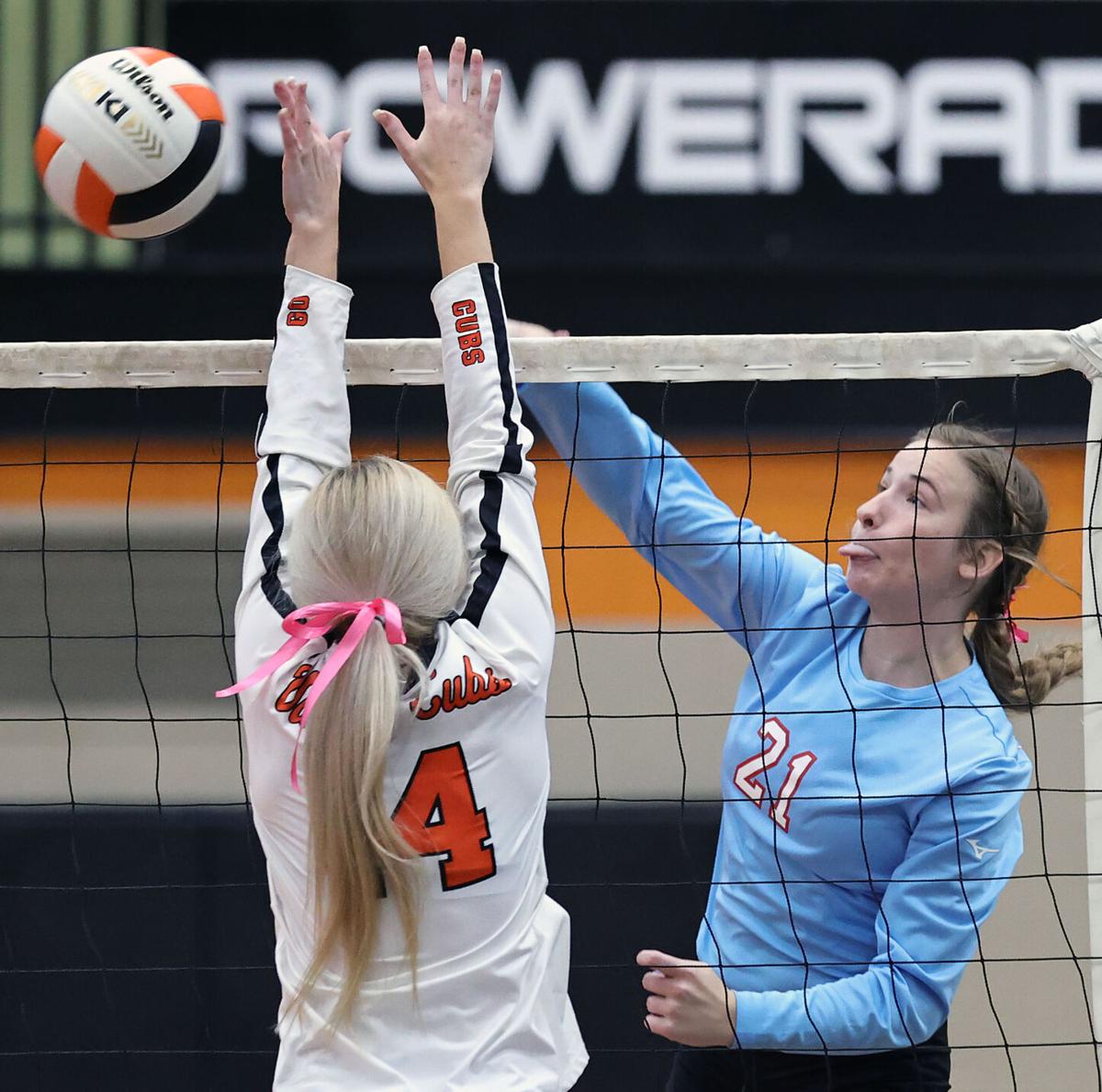 Alexandria PV volleyball