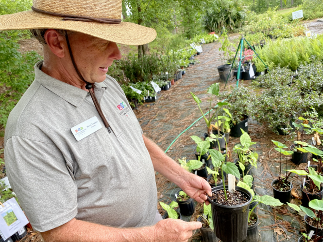 Volunteers Help Grow Botanical Gardens Plant Sale Free volunteers-help-grow-botanical-gardens-plant-sale-free