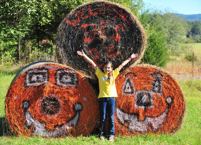 DeArmanville Elementary Field Trip Slideshows