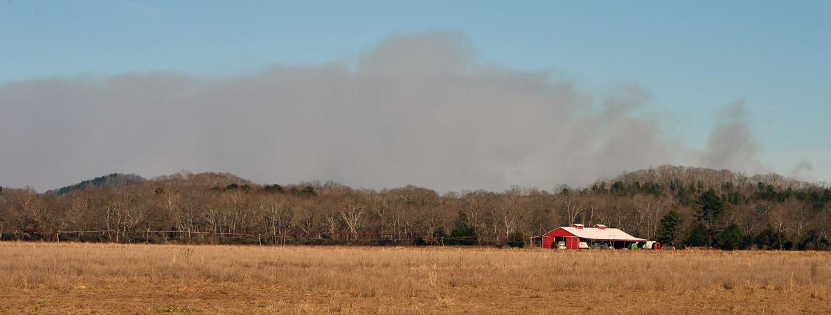 Prescribed Burn