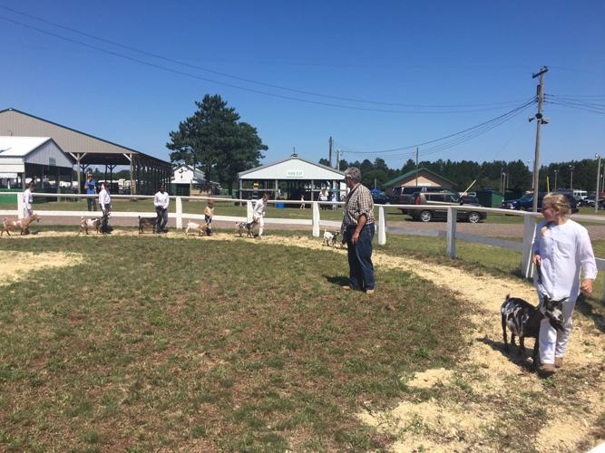 Bayfield County Fair, a longstanding tradition Subscriber