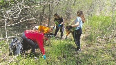 Ashland High Students Attack Invasive Plants Paywall Apg - 