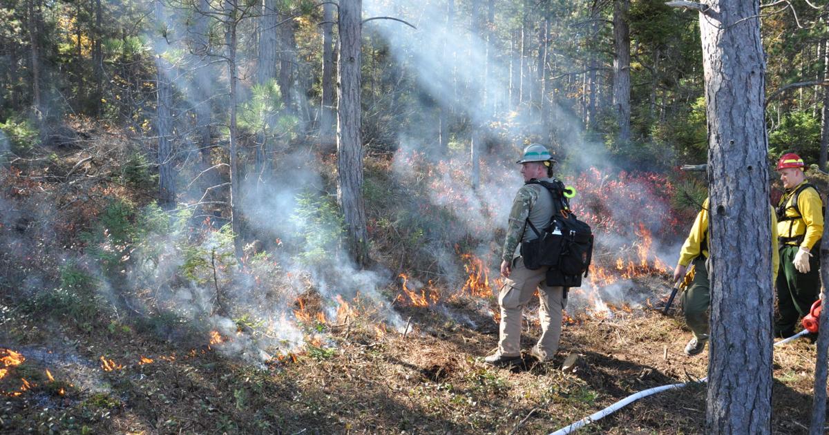 Three Fires Ojibwe fire tradition a prescription for Apostle Islands habitat ...