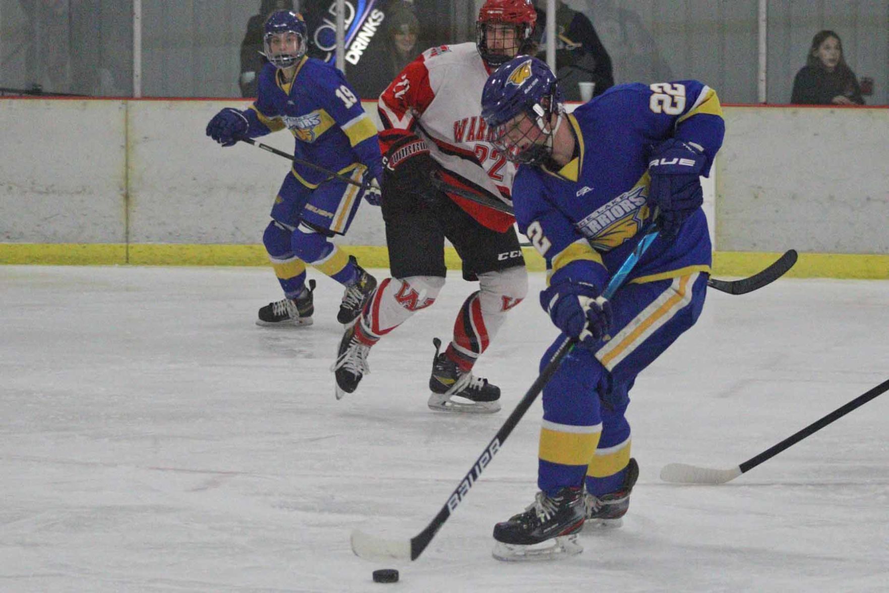 Prep Boys Hockey: Rice Lake's Carroll, Kunz Receive All-conference ...