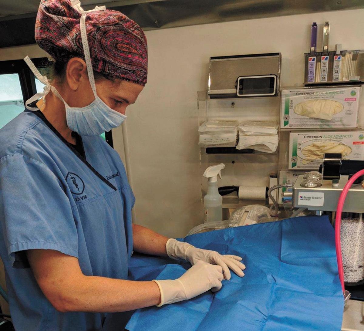 Northwoods Humane Society Sponsors Cat Spay And Neuter Clinic