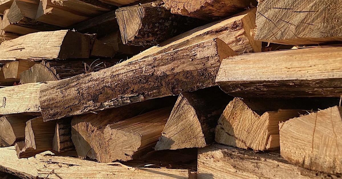 Firewood Def The journey of firewood | Outdoors | apg-wi.com