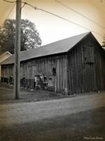 Old Barn in Fifield Wisconsin by Missi Lynn Boness