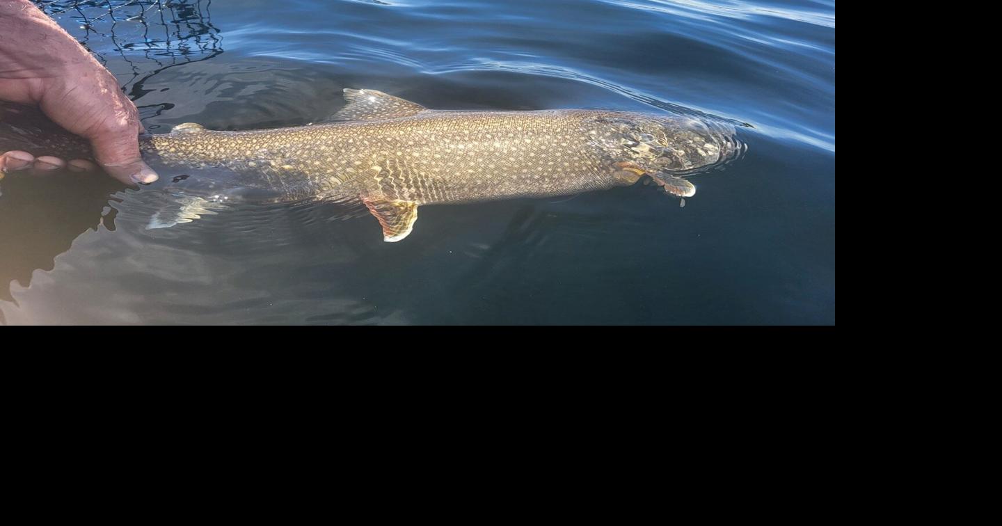 DNR to host meeting on Lake Superior fish management in Ashland