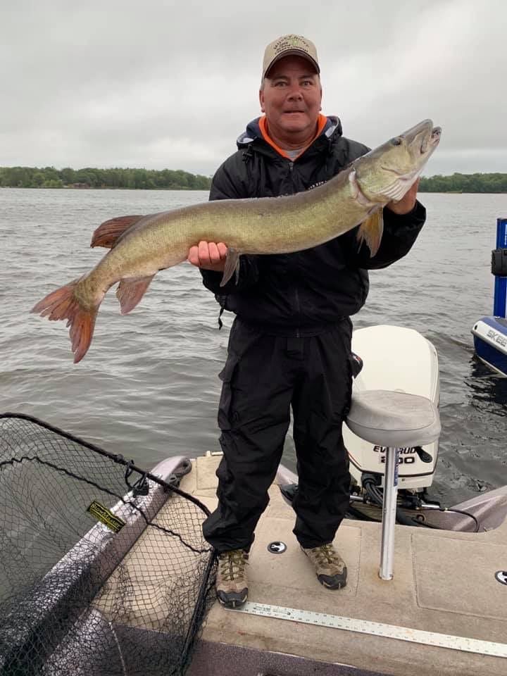 37 muskies caught and released in the Big Chip Musky Hunt Subscriber