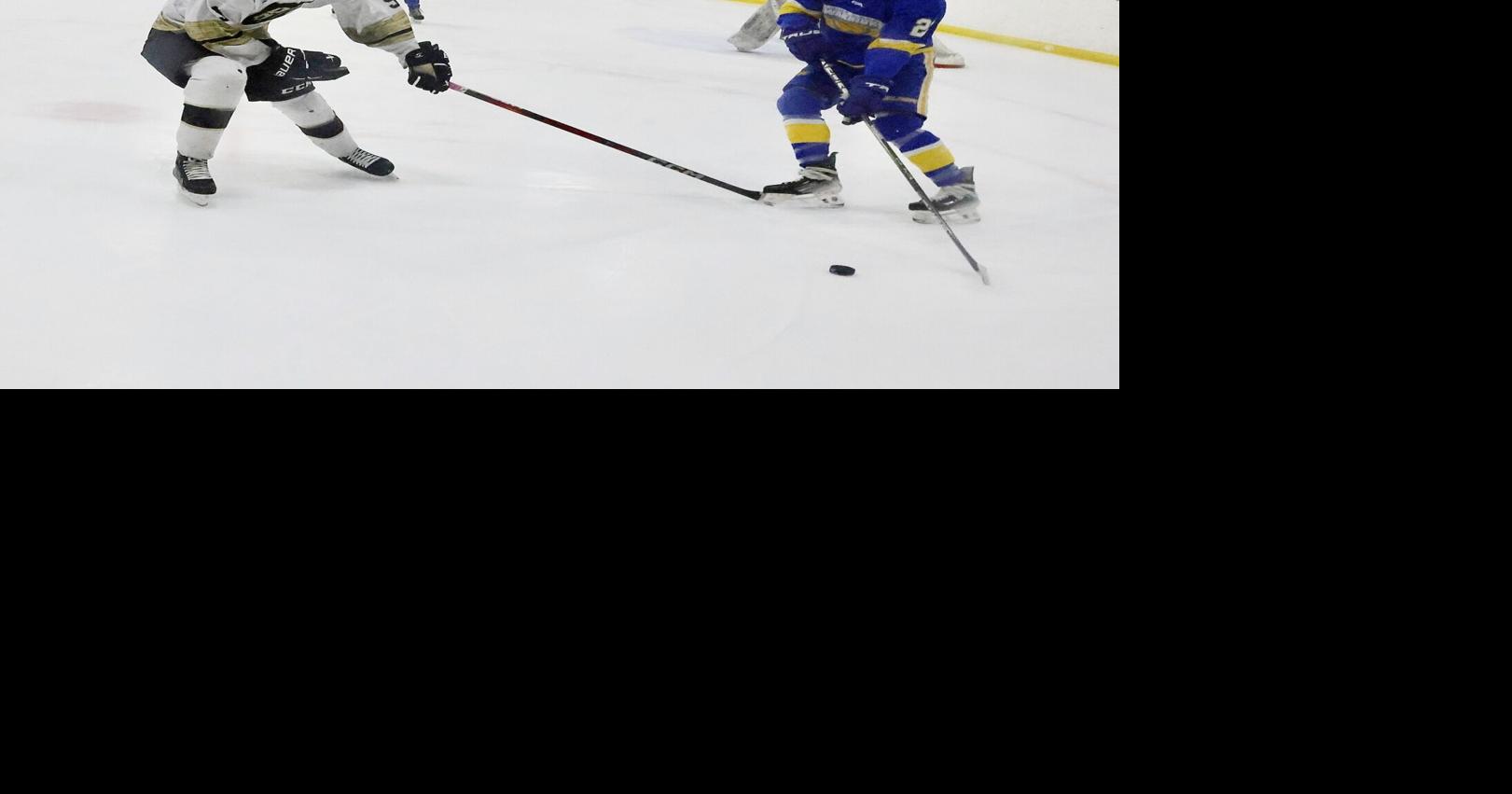 Hockey: Rice Lake's season ends with playoff loss to Hayward | Sports ...