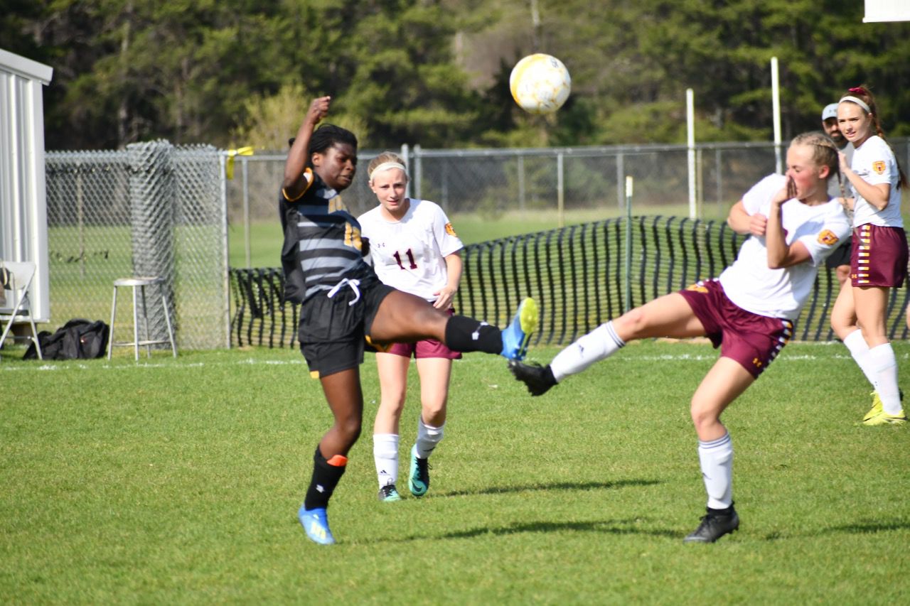 Hayward High School girls soccer improves to 9-3-4 | Subscriber | apg ...