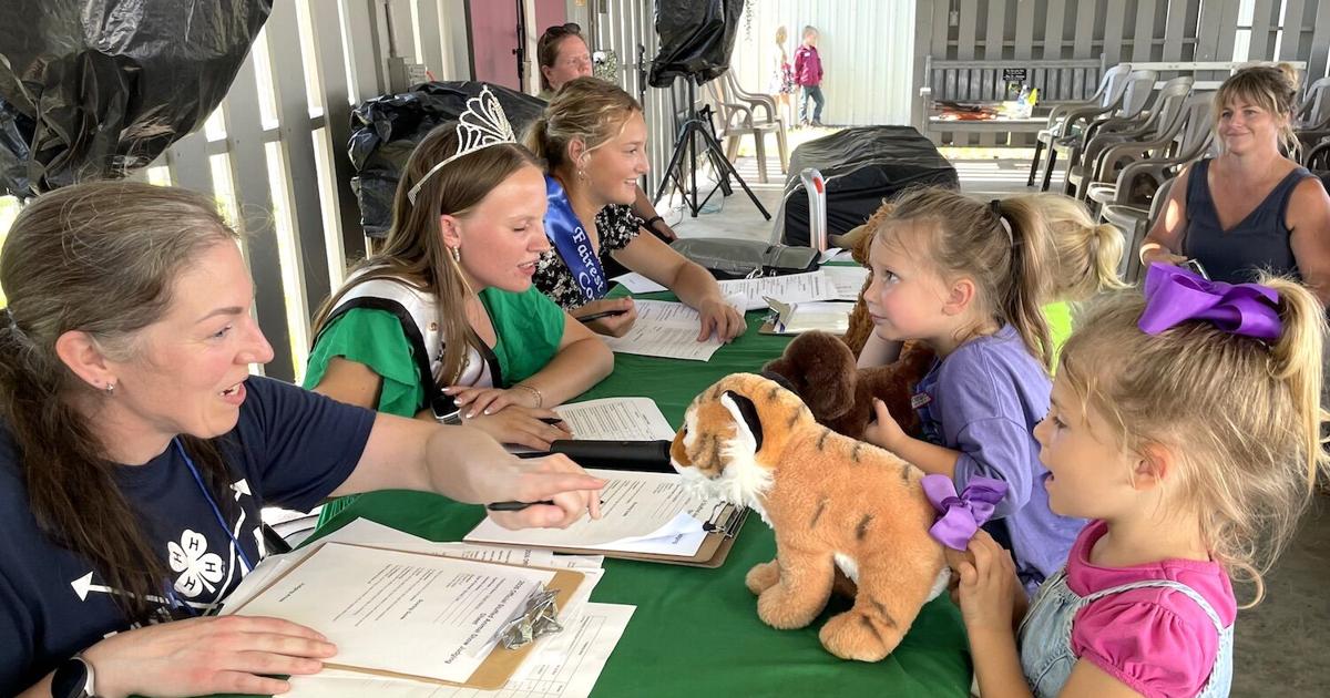 Tigers, snakes and sharks — Stuffed Animal Show had it all