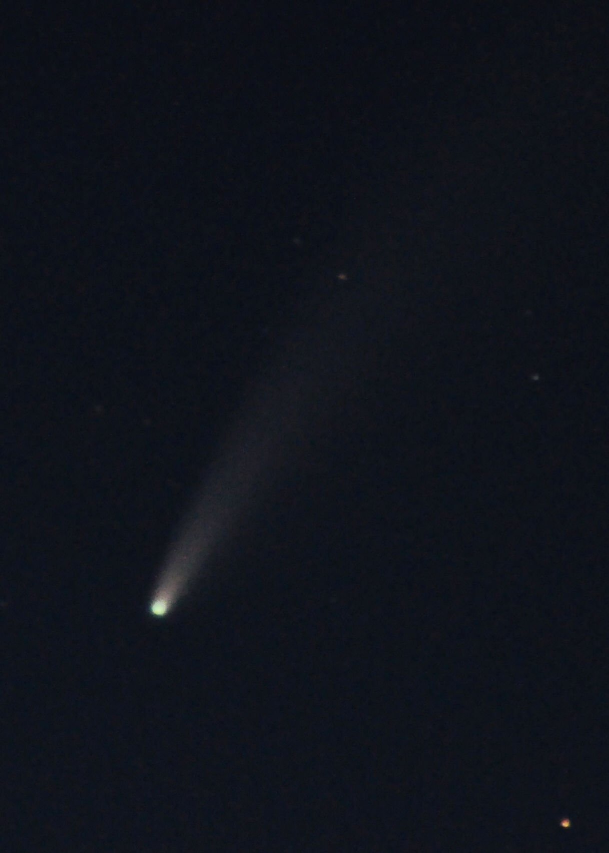 Look for Comet Neowise in the northwest night sky | Free | apg-wi.com