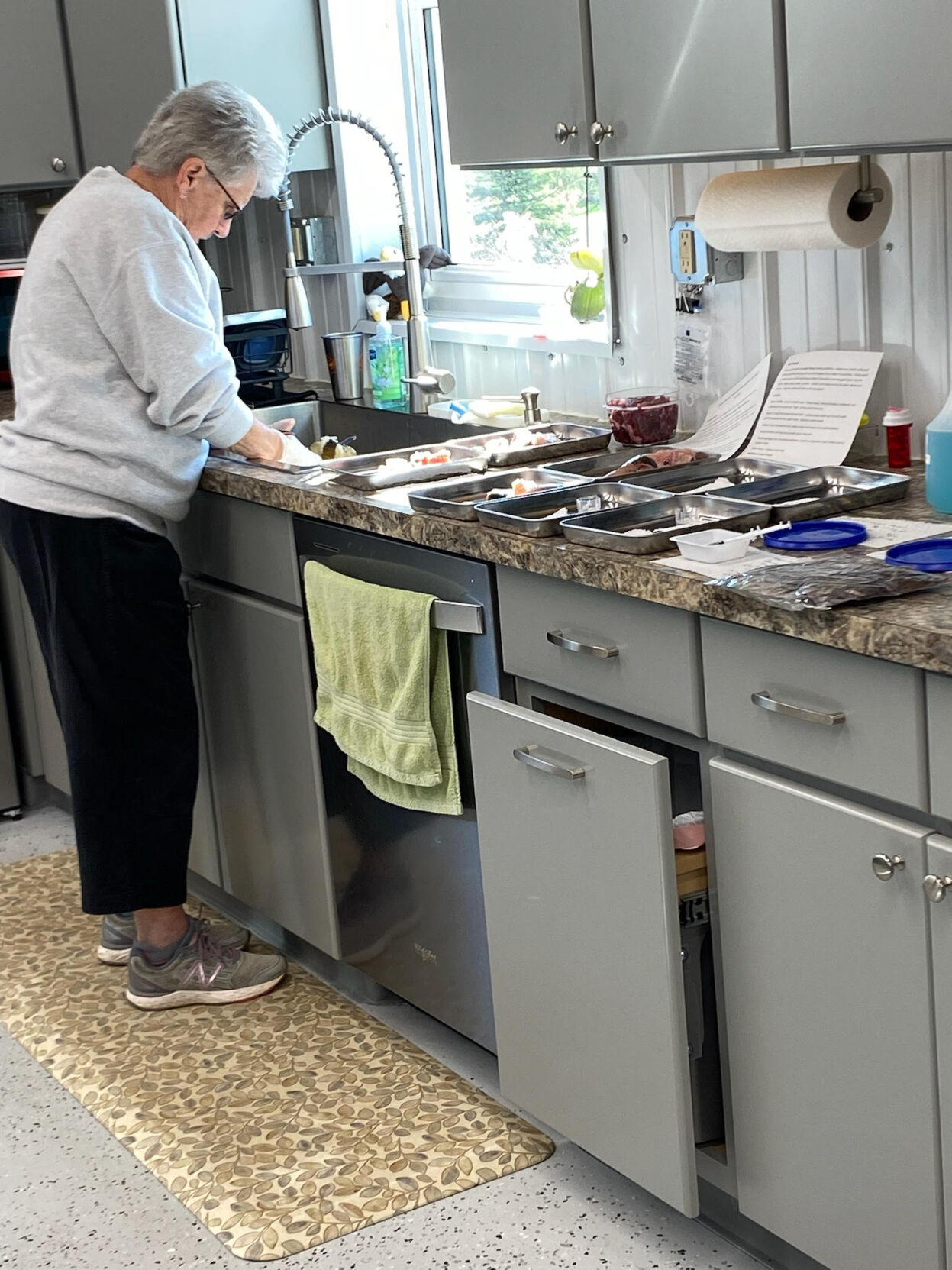 Winged Freedom rehabilitates raptors, releases them into wild | Local ...