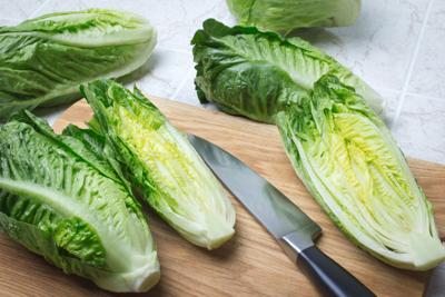 It Is Safe To Eat Romaine Lettuce Again Sort Of Free Apg Wi Com