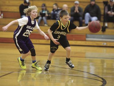 Sixth Grade Boys Basketball Youth Sports Apg Wi Com