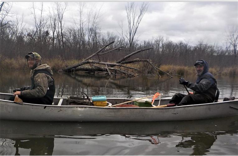 Views from a tree Subscriber