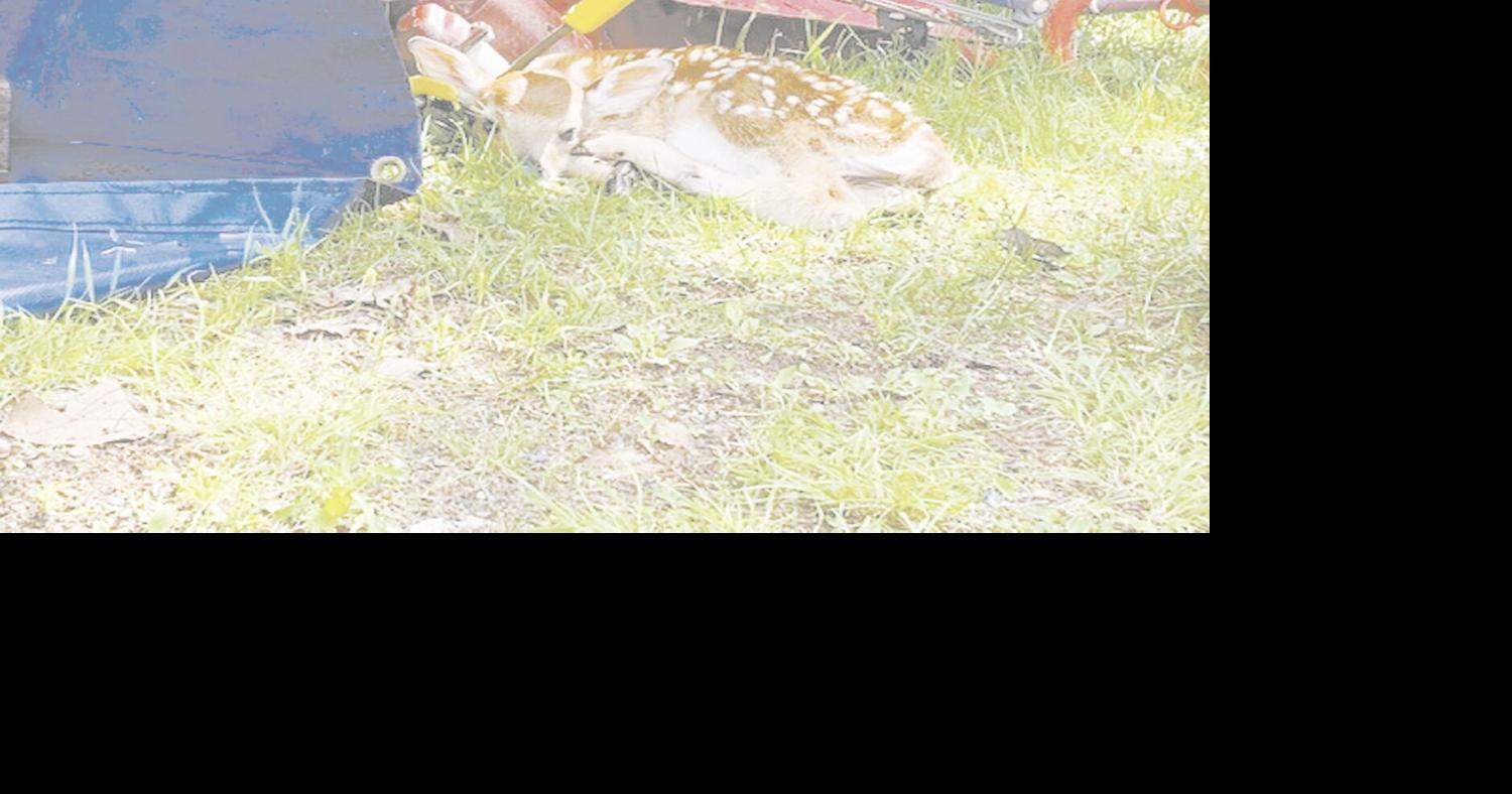 Moose Lake News Subscriber