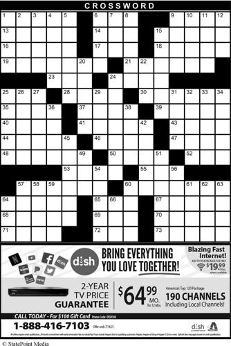 CROSSWORD PUZZLE: THE 1990S | Sawyer County Record | apg-wi.com