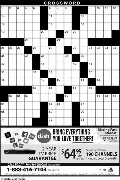 CROSSWORD PUZZLE: THE 1990S | Sawyer County Record | apg-wi.com