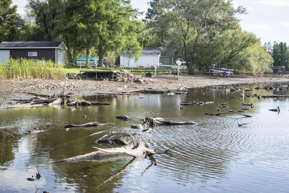 Phillips chain of lakes drawdown intrigues many | Free | apg-wi.com