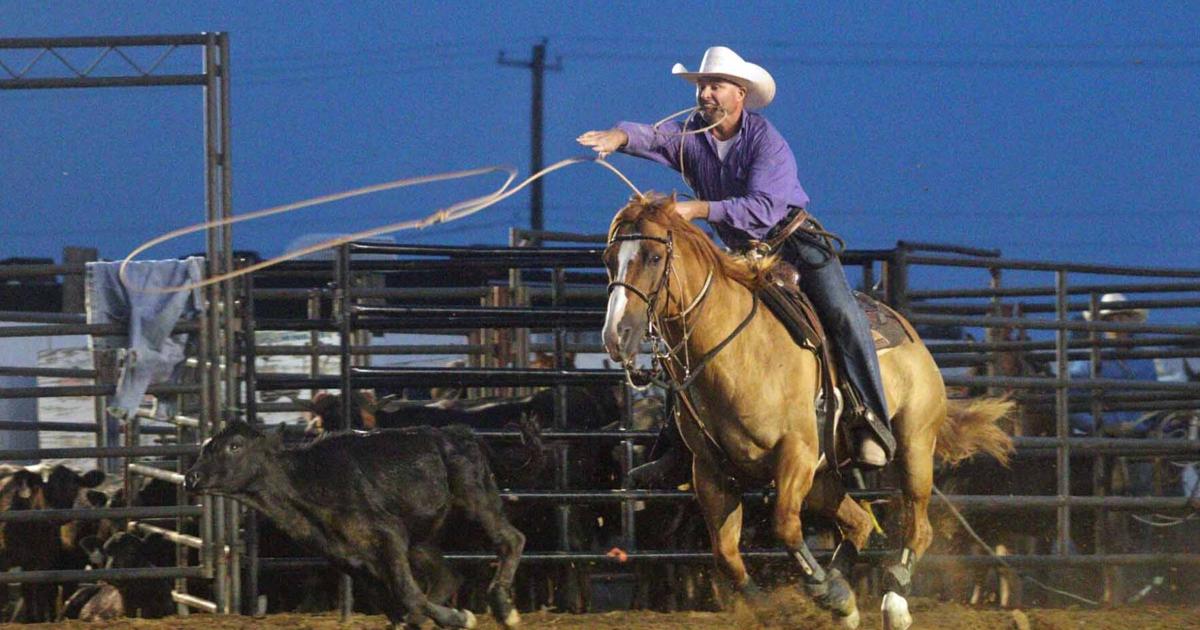 With new date, Barron County Pro Rodeo slated for Friday, Saturday ...