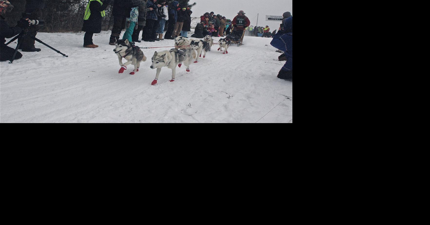 Apostle Islands Sled Dog Race marks 22nd running Local