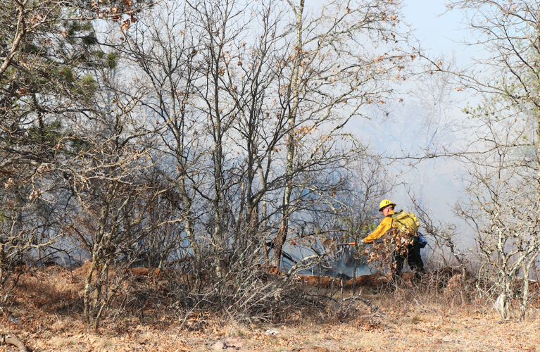 Minong fire burns 200 acres Local