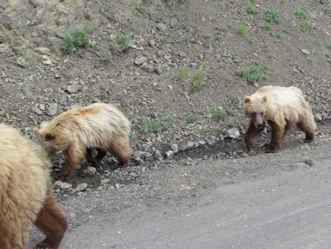 Moose Lake News Subscriber