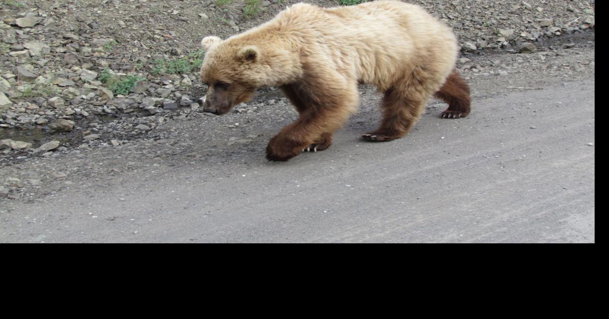 Moose Lake News Subscriber