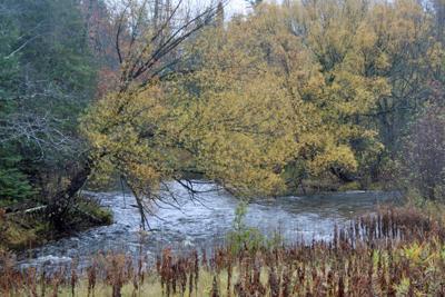 Wisconsin Outdoor Report Sept 30 Outdoors Apg Wi Com