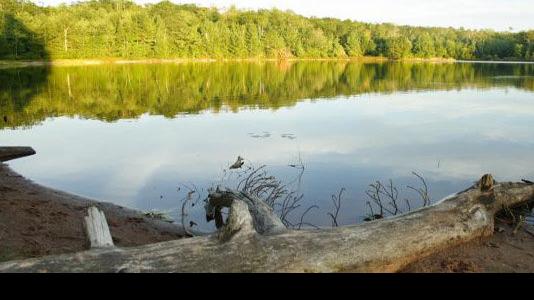 Chequamegon Nicolet National Forest Proposes Fee Increases Free Apg Wi Com