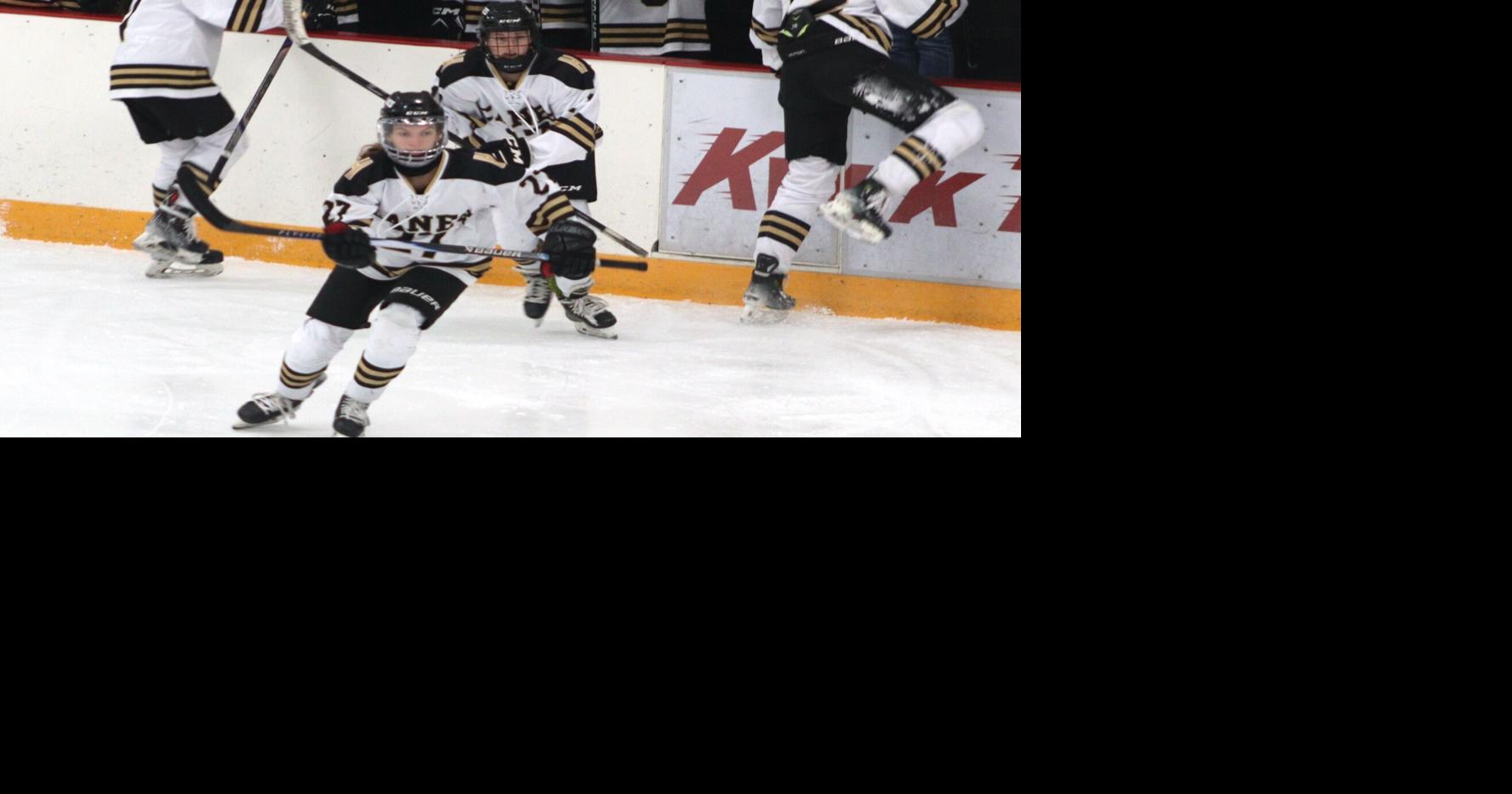 Girls hockey co-op to play at Rice Lake Hockey Arena | Sports | apg-wi.com