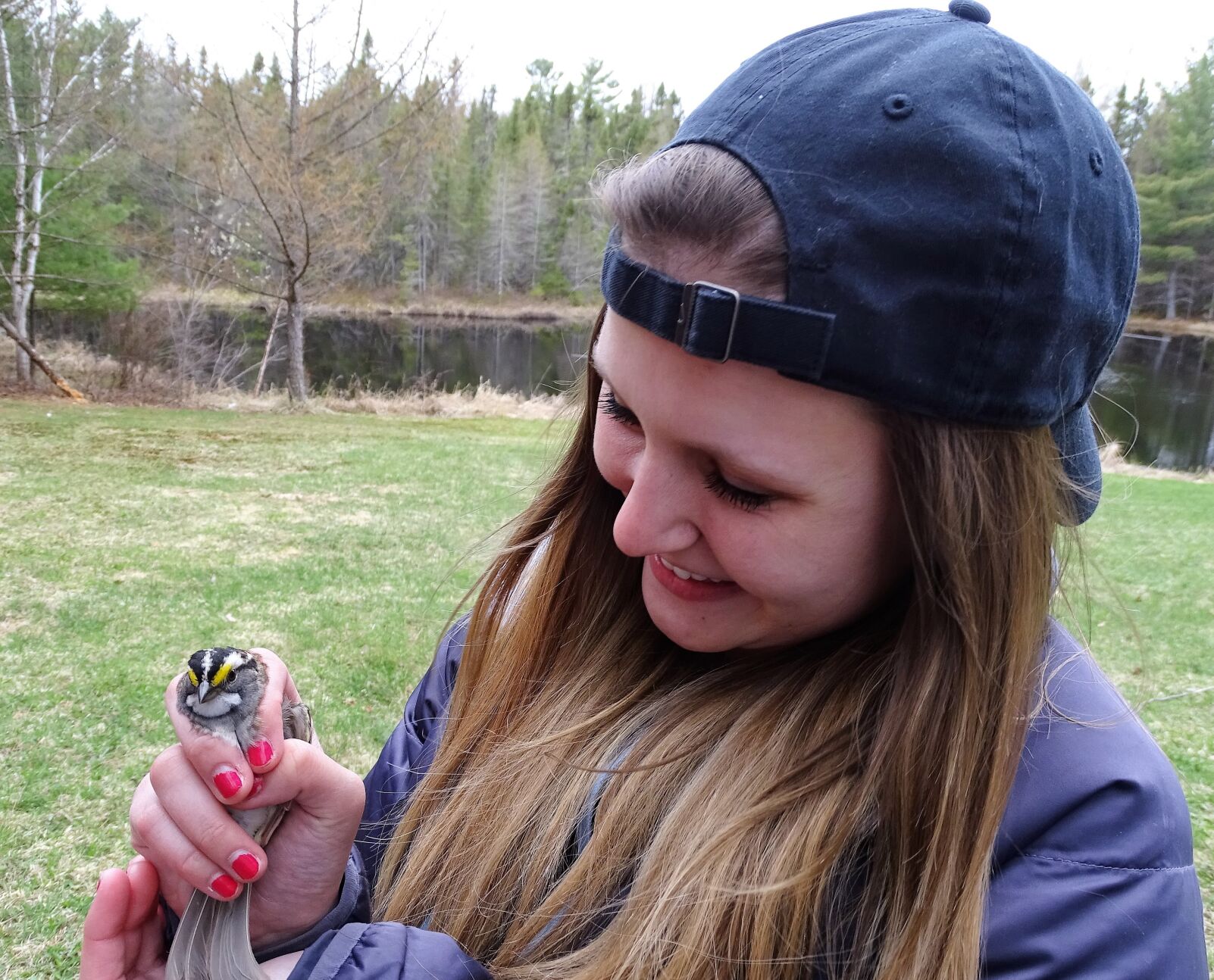 usgs bird banding lab master permit application