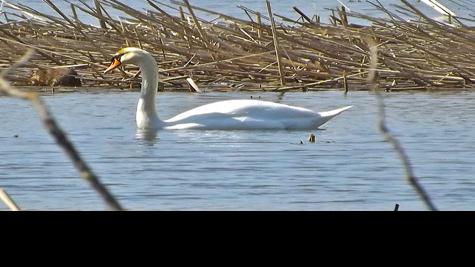 Symposium Addresses Water Concerns Of Chequamegon Bay News Apg Wi Com