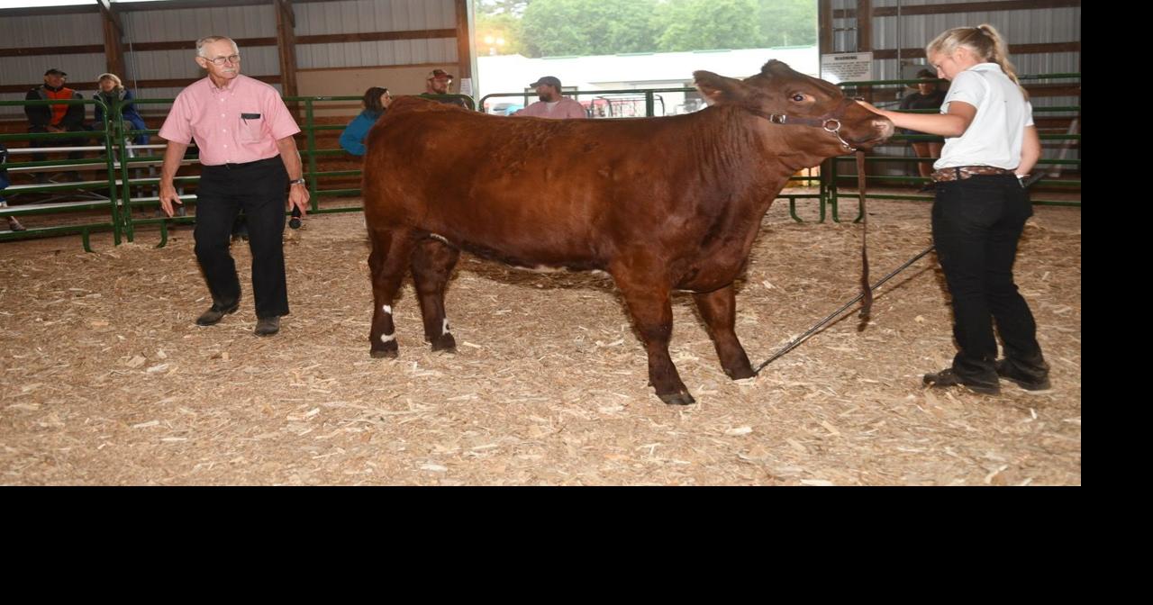 Sawyer County Fair continues 112 years of history Subscriber